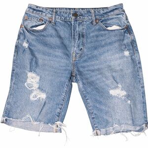 American Eagle Outfitters Light Blue Distressed Jean Shorts